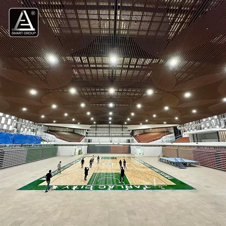 Philippines Indoor Retractable Gym Grandstand Telescopic Bleachers